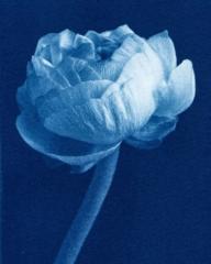 Gillian Huggett