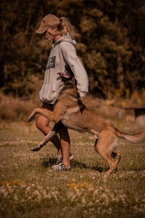 Girls Just Want To Train Dogs