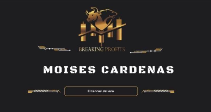 Breaking Profits Academy