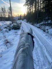 Anna Jacklin Larsson