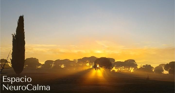 Espacio NeuroCalma