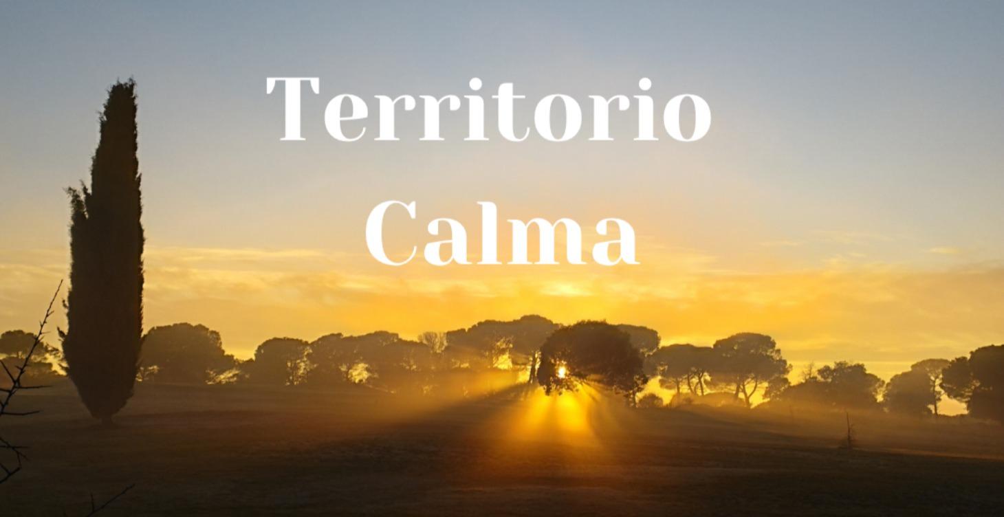 🧠 PASO 2 — TERRITORIO CALMA