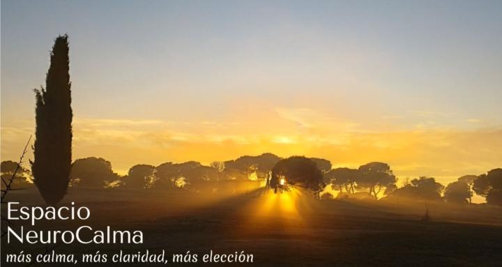 Espacio NeuroCalma