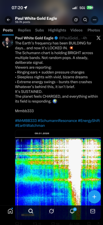 Earth Frequency Consciousness Update 🌎