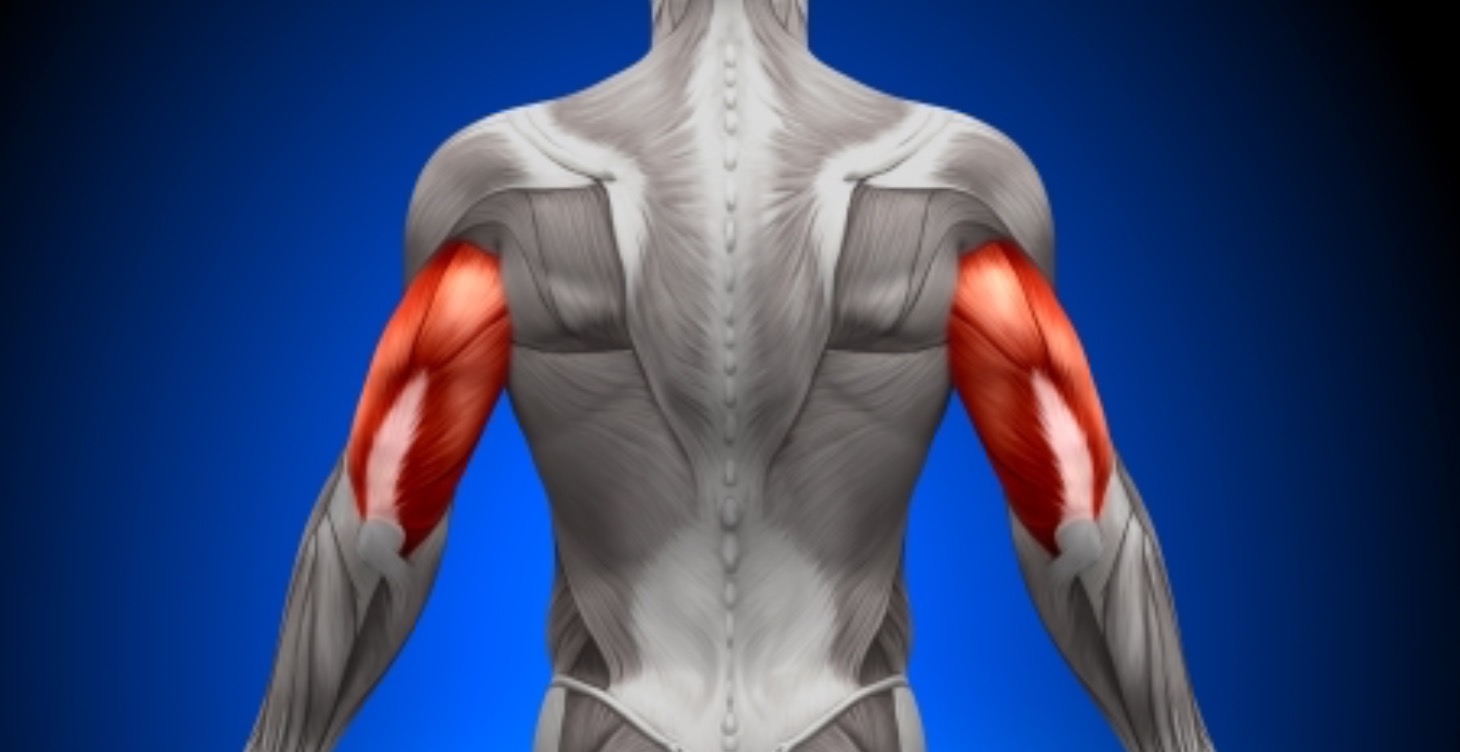 Tricep