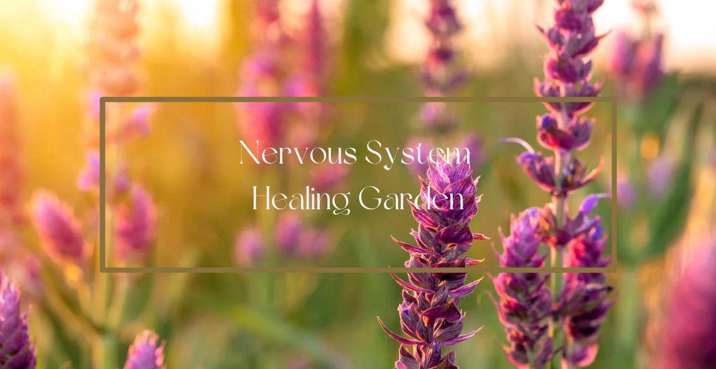 Nervous System Healing Garden