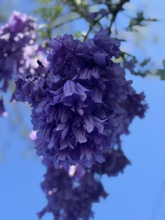 December Class: Practicing Class 