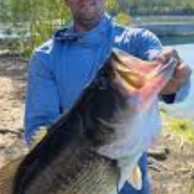 Andrew Calahan