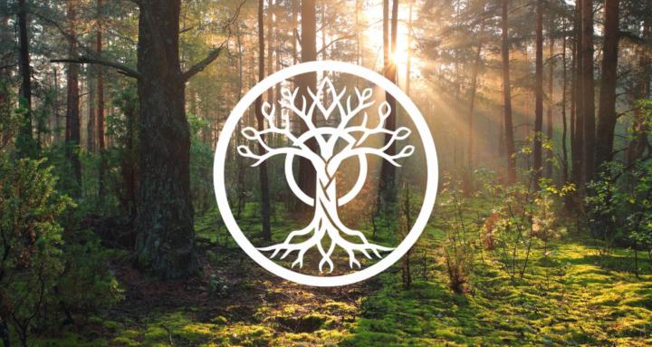 Rocks and Roots