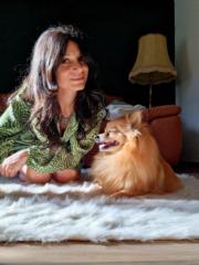 Elif Bul