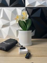 Ivan Pérez Rodríguez