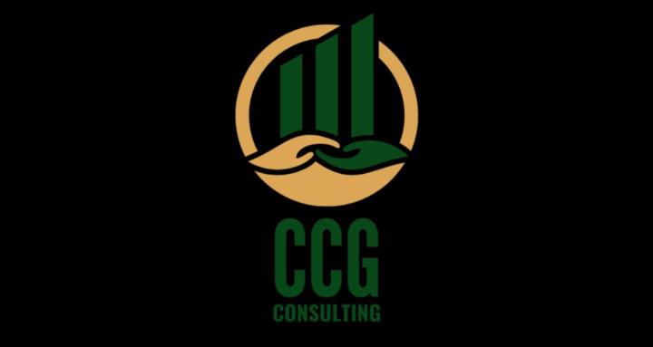 CCG Consulting