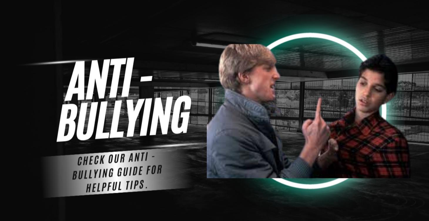 Anti Bullying - PDF Guide