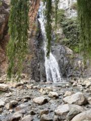Ben Ou