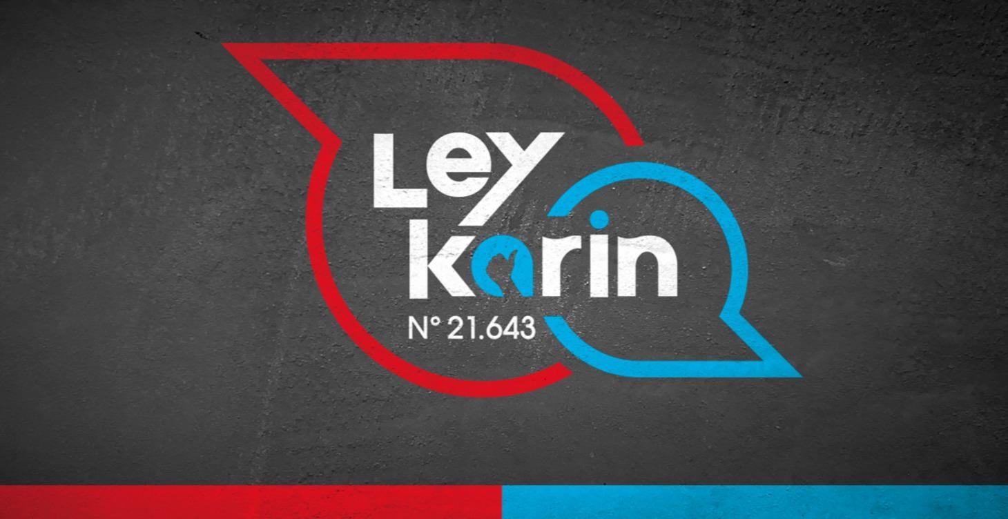 Ley Karin