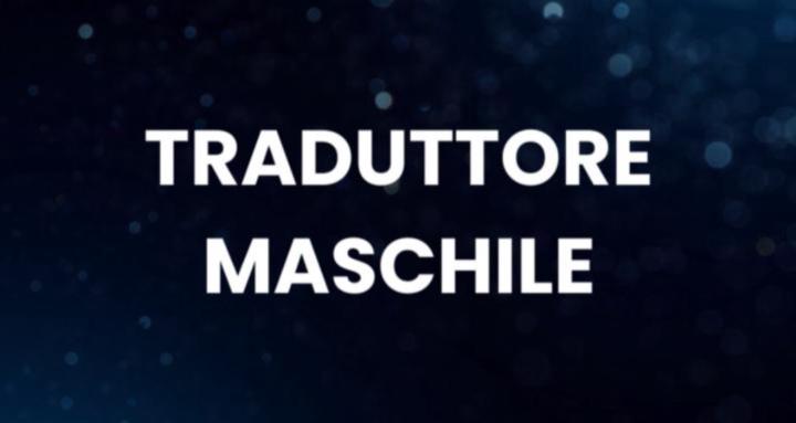 Traduttore Maschile