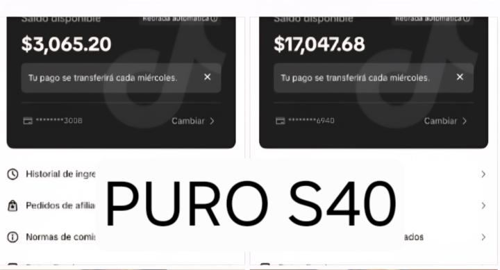 Puro s40 
