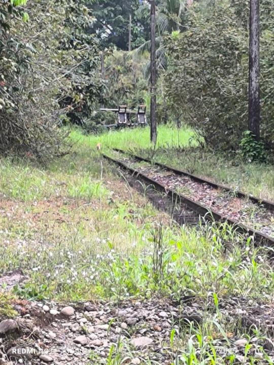 Yamileth Seballo Anchia