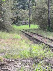 Yamileth Seballo Anchia