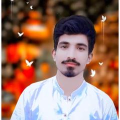 Muhammad Amir
