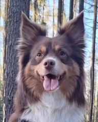 Gabi Kováříčková