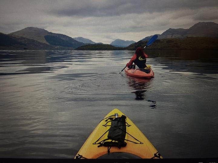 Suzanne Halligan-Storey