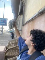 Gamal Elsayed