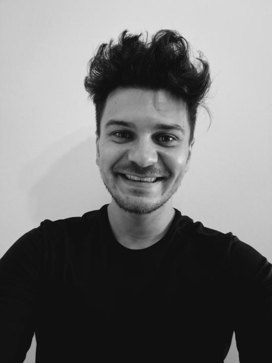 Mihai Arald