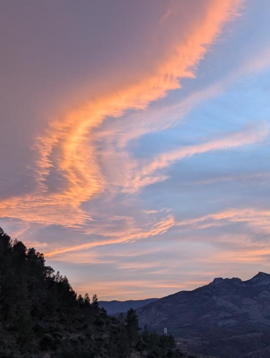 Michaela Muehlenberend