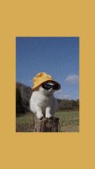 Emanuel Teodoro Diaz Huaman