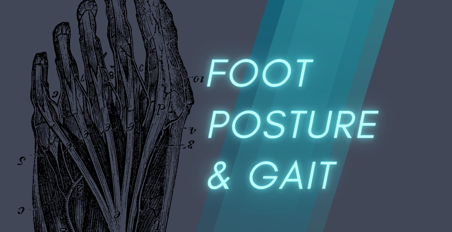 Foot Posture & Gait