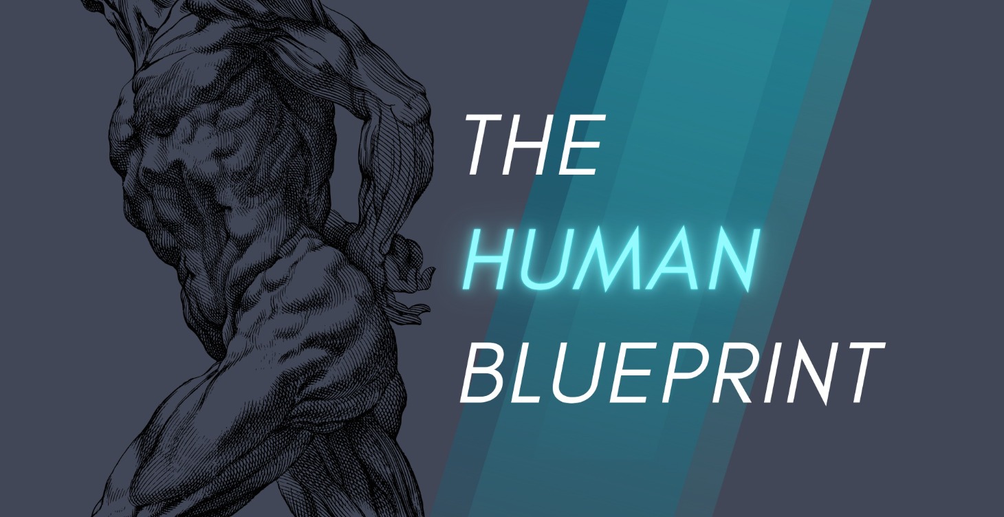 The Human Blueprint