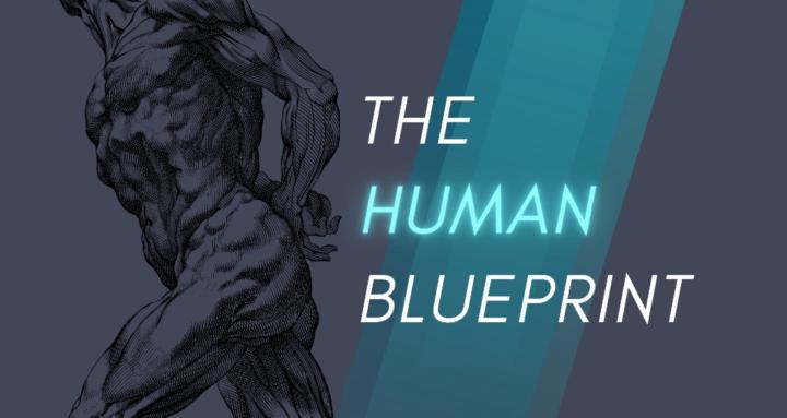 The Human Blueprint