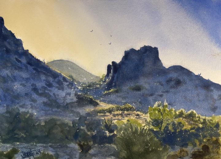 Looking for the Light