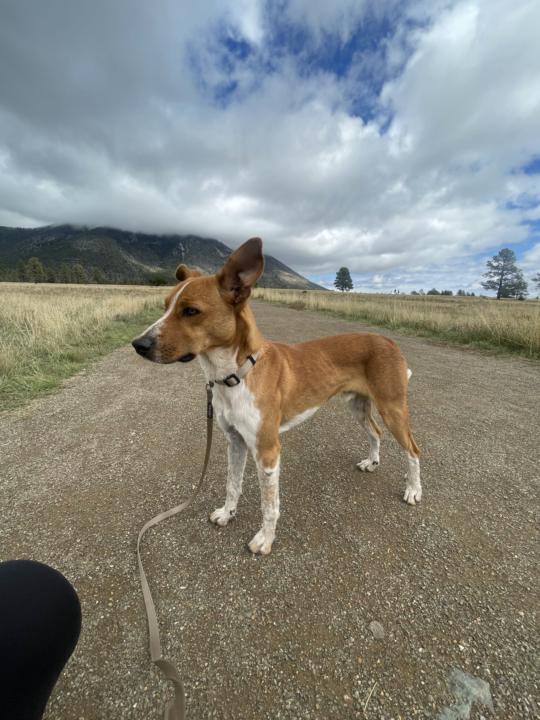 Dark Night of the Ego - Anyone? 