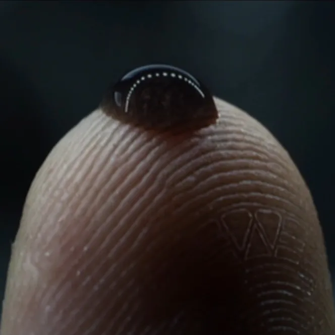 The Psyche is a Battlefield (or a playground)