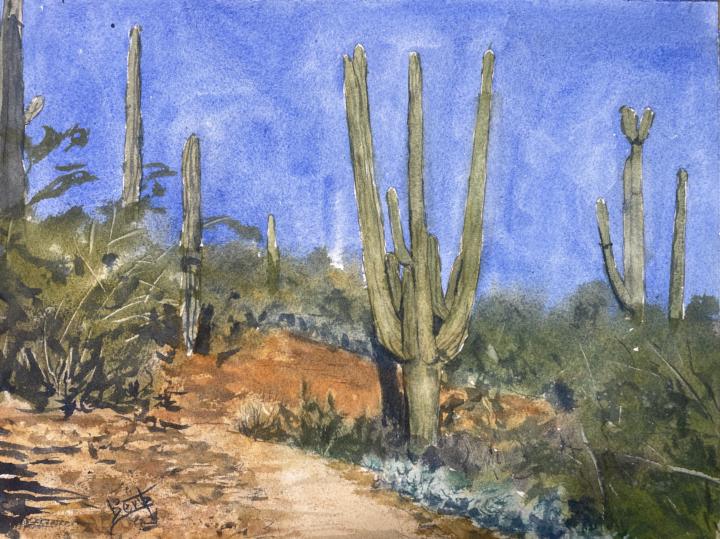 Seeing the Beauty in Home