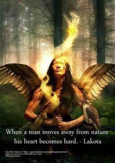 EarthShip; Nature's wisdom