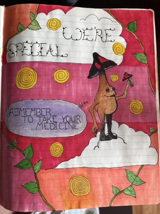 My Journal 