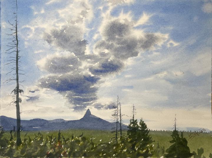 The Reluctant Artist