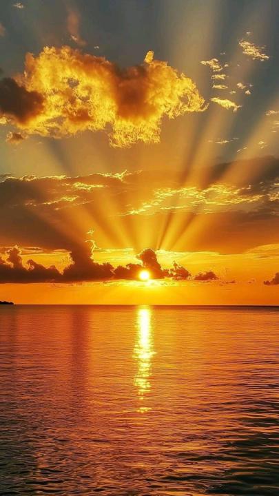 Serenity