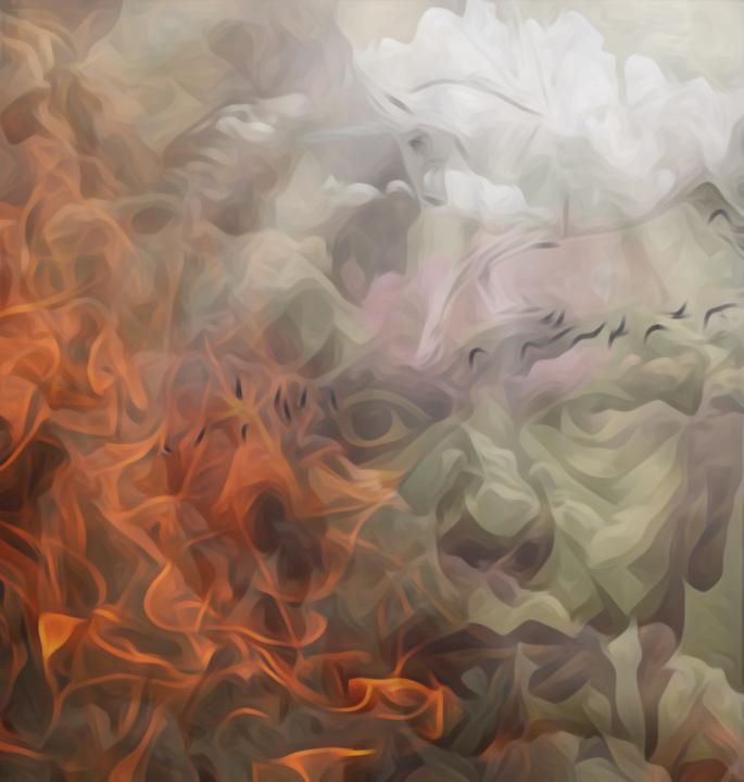 Was curious how Rey feels about 