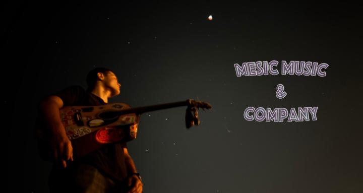 Mesic Music and Co.