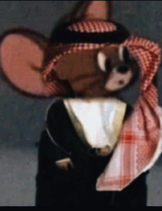 Ali Chariff El Husseini