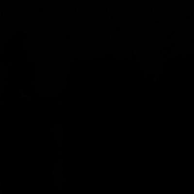 Lena-Marie Baumgarten