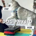 Logo The Dog Physio Hub