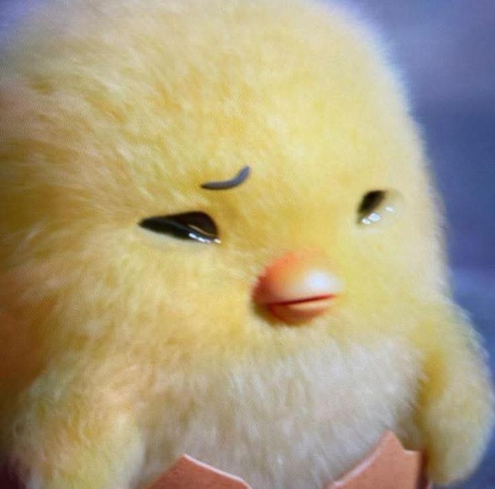 Anyela Astrid Navarrete Borrero