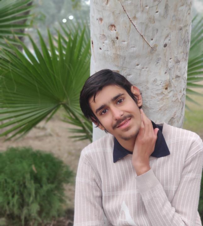 Ali Ahmed