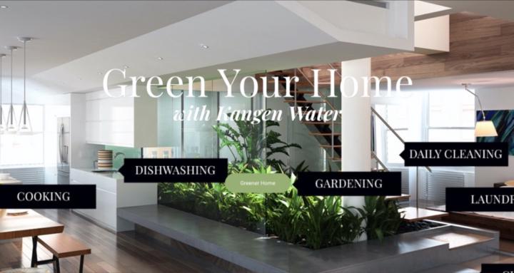 Water Wellness Foundation