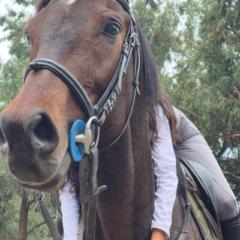 Yvette danne Huillca valdivia